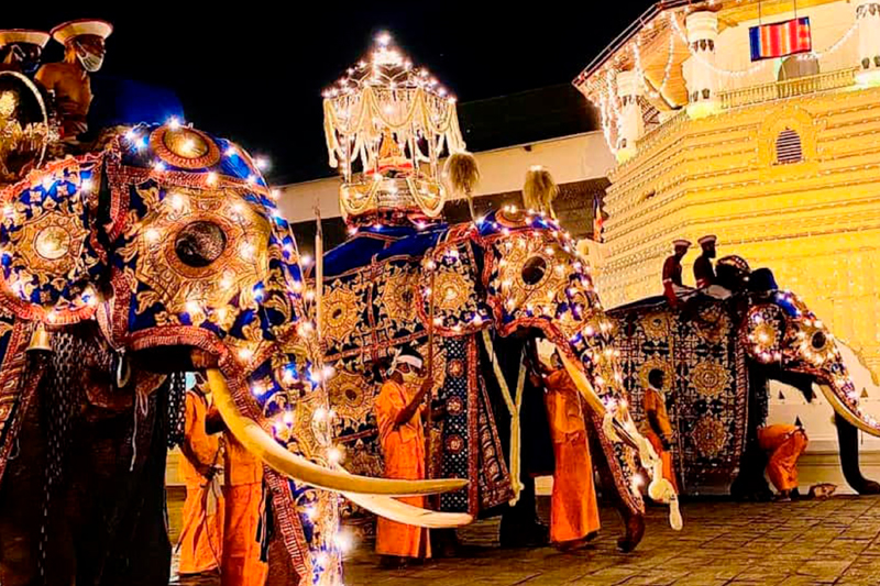 Significant Pageant in Asia – Enchanting Kandy city on a amazing 2-day Sri Lanka Tour!