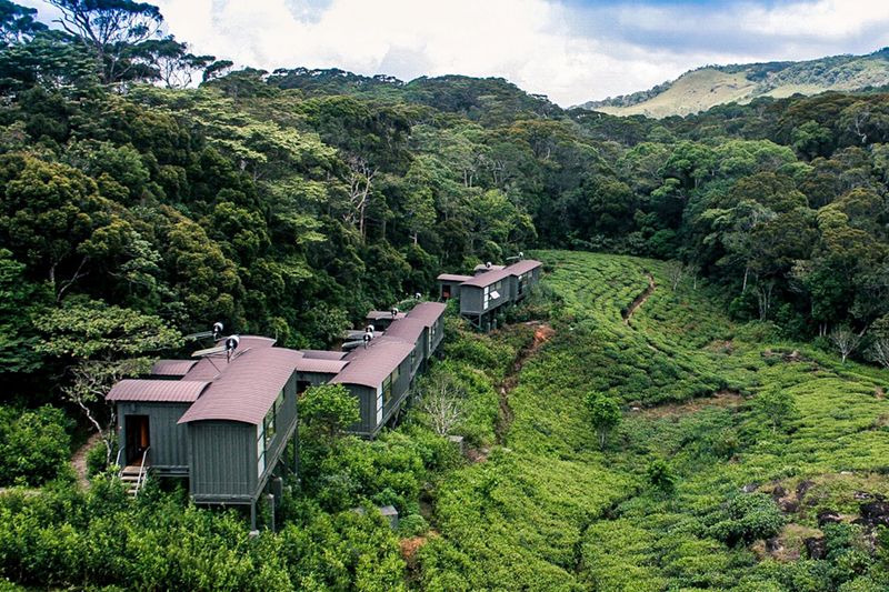 Rainforest Eco Lodge – Sinharaja